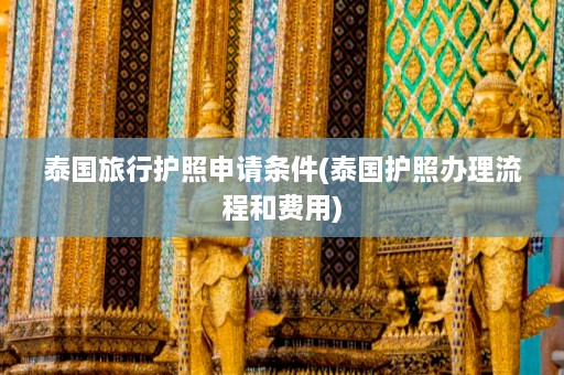 泰国旅行护照申请条件(泰国护照办理流程和费用)  第1张