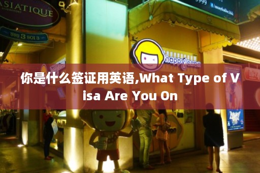 你是什么签证用英语,What Type of Visa Are You On  第1张