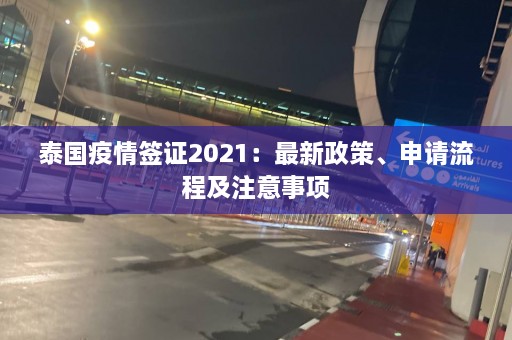 泰国疫情签证2021：最新政策、申请流程及注意事项  第1张