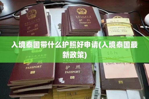 入境泰国带什么护照好申请(入境泰国最新政策)  第1张