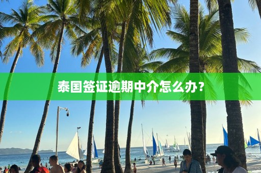 泰国签证逾期中介怎么办？  第1张