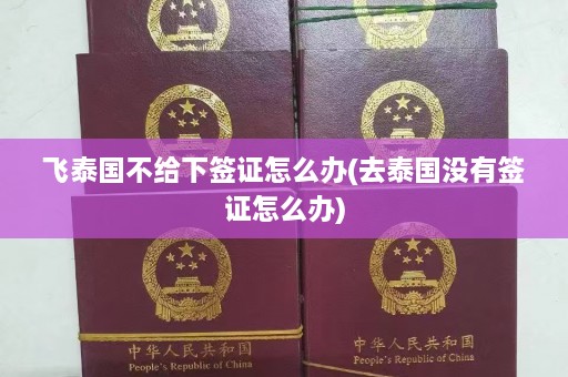 飞泰国不给下签证怎么办(去泰国没有签证怎么办)  第1张