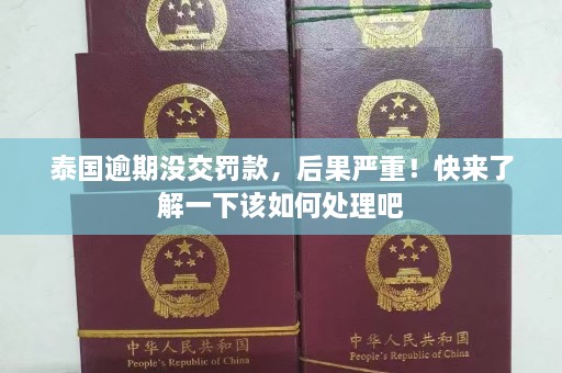 泰国逾期没交罚款，后果严重！快来了解一下该如何处理吧  第1张