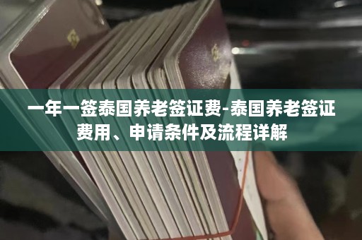 一年一签泰国养老签证费-泰国养老签证费用、申请条件及流程详解  第1张