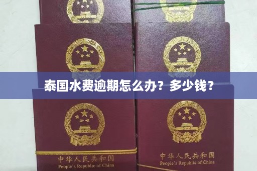 泰国水费逾期怎么办？多少钱？