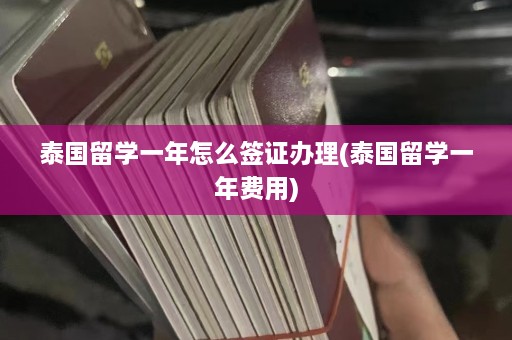 泰国留学一年怎么签证办理(泰国留学一年费用)  第1张