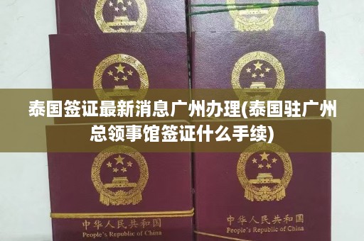 泰国签证最新消息广州办理(泰国驻广州总领事馆签证什么手续)  第1张