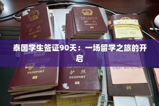 泰国学生签证90天：一场留学之旅的开启