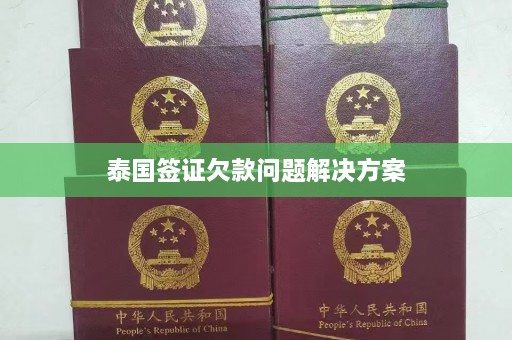 泰国签证欠款问题解决方案  第1张