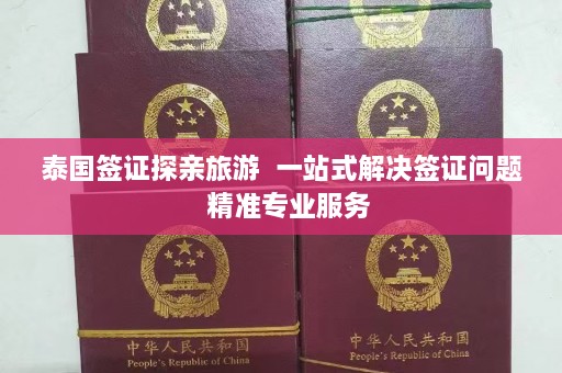 泰国签证探亲旅游  一站式解决签证问题 精准专业服务 第1张