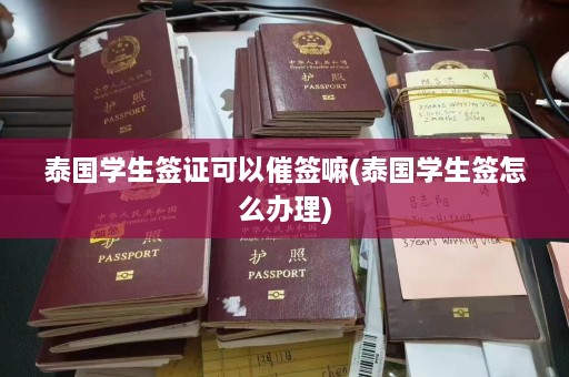 泰国学生签证可以催签嘛(泰国学生签怎么办理)  第1张