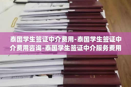 泰国学生签证中介费用-泰国学生签证中介费用咨询-泰国学生签证中介服务费用