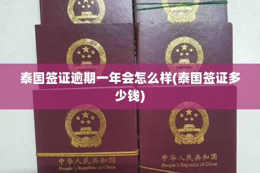 泰国签证逾期一年会怎么样(泰国签证多少钱)  第1张