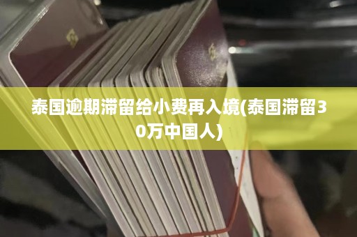 泰国逾期滞留给小费再入境(泰国滞留30万中国人)  第1张