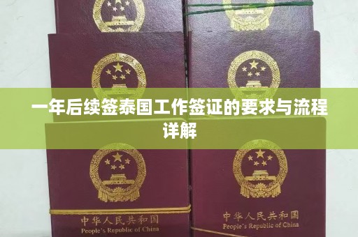 一年后续签泰国工作签证的要求与流程详解  第1张