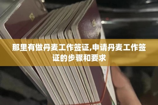 那里有做丹麦工作签证,申请丹麦工作签证的步骤和要求  第1张