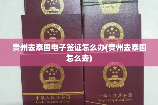 贵州去泰国电子签证怎么办(贵州去泰国怎么去)