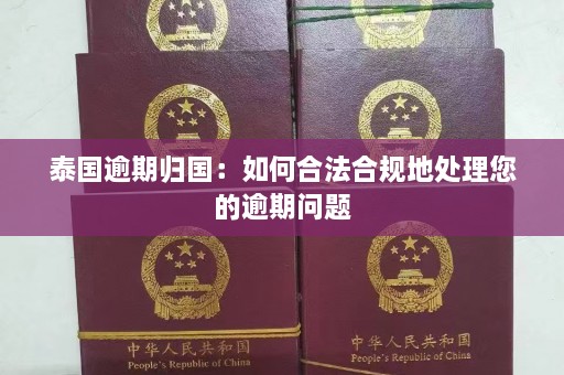 泰国逾期归国：如何合法合规地处理您的逾期问题  第1张