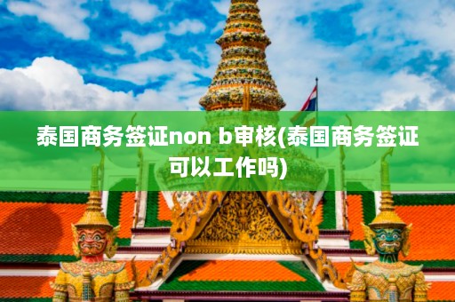 泰国商务签证non b审核(泰国商务签证可以工作吗)