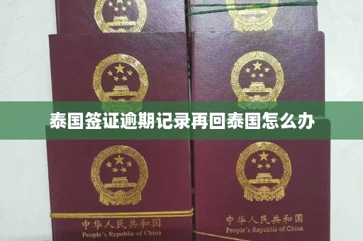 泰国签证逾期记录再回泰国怎么办  第1张