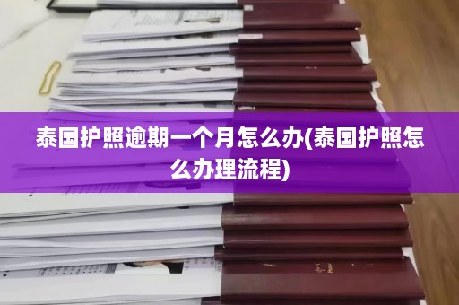 泰国护照逾期一个月怎么办(泰国护照怎么办理流程)  第1张