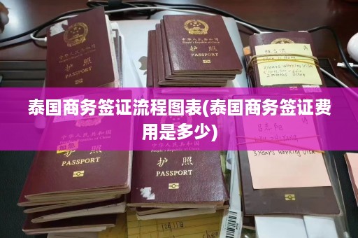 泰国商务签证流程图表(泰国商务签证费用是多少)  第1张