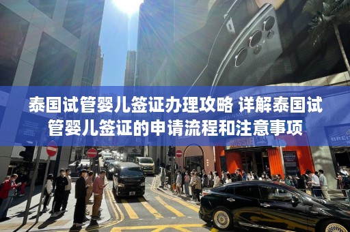 泰国试管婴儿签证办理攻略 详解泰国试管婴儿签证的申请流程和注意事项  第1张