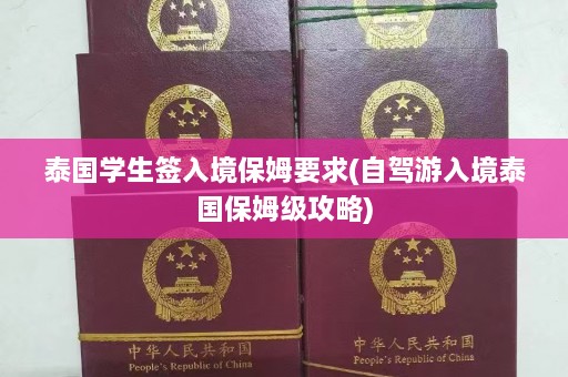 泰国学生签入境保姆要求(自驾游入境泰国保姆级攻略)  第1张