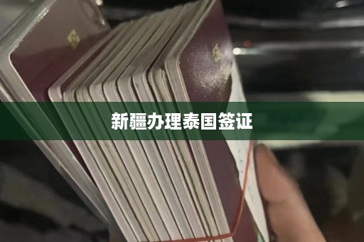 新疆办理泰国签证  第1张