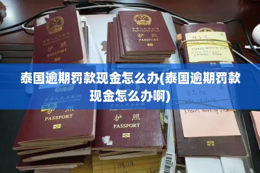 泰国逾期罚款现金怎么办(泰国逾期罚款现金怎么办啊)