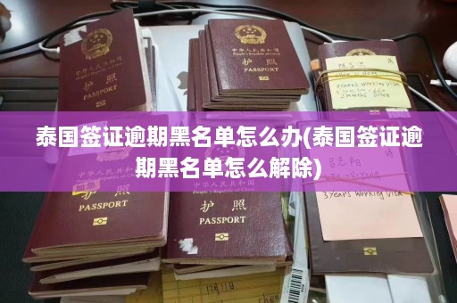 泰国签证逾期黑名单怎么办(泰国签证逾期黑名单怎么解除)  第1张