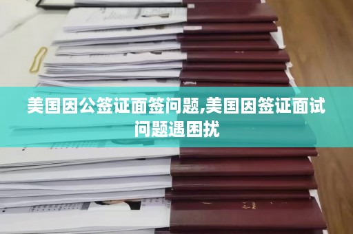 美国因公签证面签问题,美国因签证面试问题遇困扰  第1张