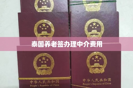 泰国养老签办理中介费用  第1张