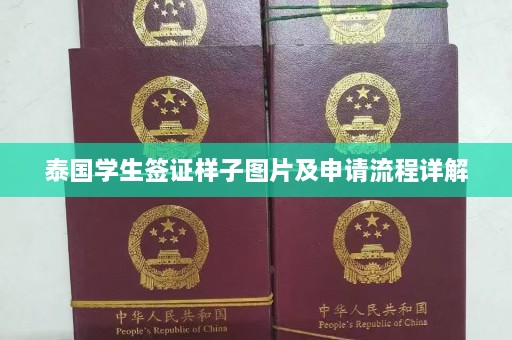 泰国学生签证样子图片及申请流程详解  第1张