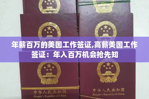 年薪百万的美国工作签证,高薪美国工作签证：年入百万机会抢先知  第1张