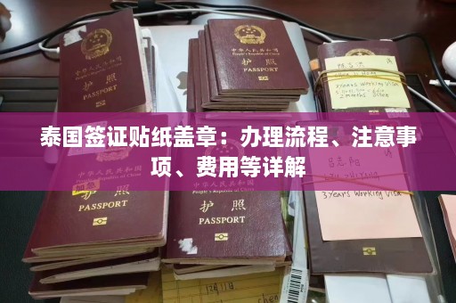 泰国签证贴纸盖章：办理流程、注意事项、费用等详解  第1张