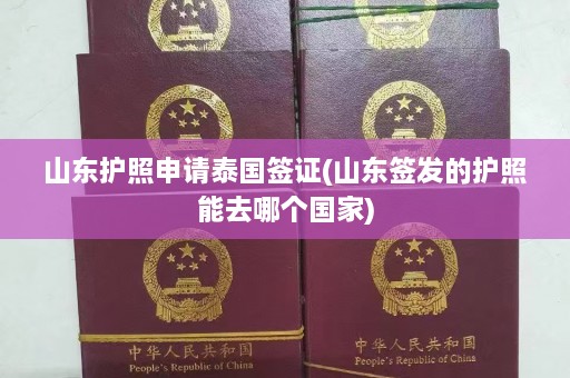 山东护照申请泰国签证(山东签发的护照能去哪个国家)  第1张