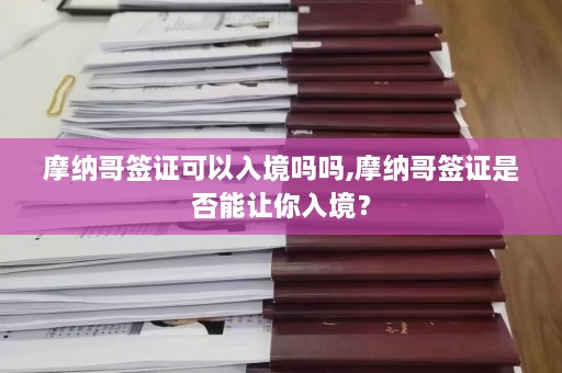 摩纳哥签证可以入境吗吗,摩纳哥签证是否能让你入境？