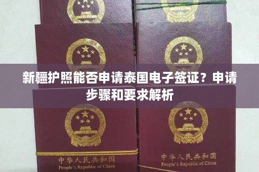  *** 护照能否申请泰国电子签证？申请步骤和要求解析  第1张