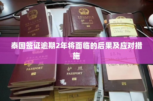 泰国签证逾期2年将面临的后果及应对措施  第1张