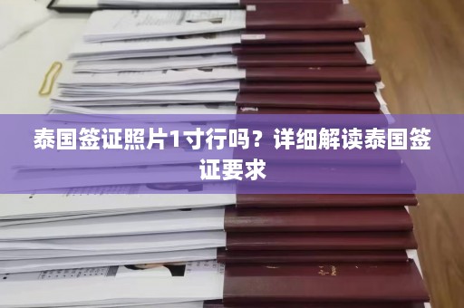 泰国签证照片1寸行吗？详细解读泰国签证要求  第1张