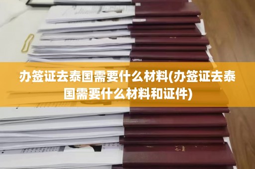 办签证去泰国需要什么材料(办签证去泰国需要什么材料和证件)  第1张