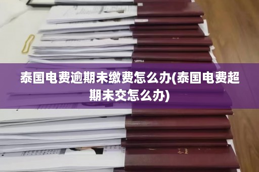 泰国电费逾期未缴费怎么办(泰国电费超期未交怎么办)  第1张