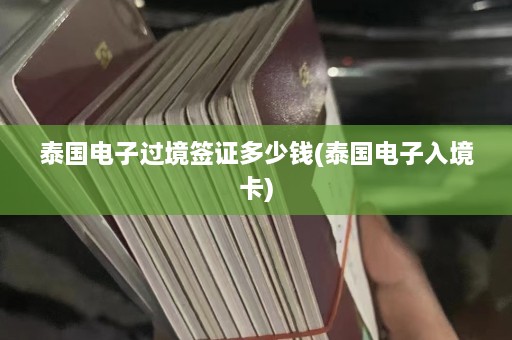 泰国电子过境签证多少钱(泰国电子入境卡)  第1张