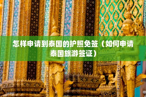 怎样申请到泰国的护照免签（如何申请泰国旅游签证）  第1张