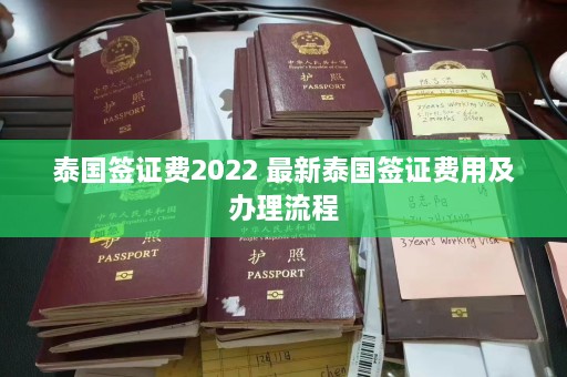 泰国签证费2022 最新泰国签证费用及办理流程  第1张