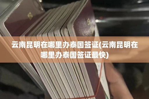 云南昆明在哪里办泰国签证(云南昆明在哪里办泰国签证最快)  第1张