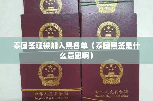 泰国签证被加入黑名单（泰国黑签是什么意思啊）  第1张