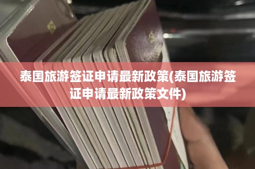 泰国旅游签证申请最新政策(泰国旅游签证申请最新政策文件)  第1张