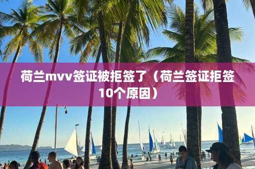 荷兰mvv签证被拒签了（荷兰签证拒签10个原因）